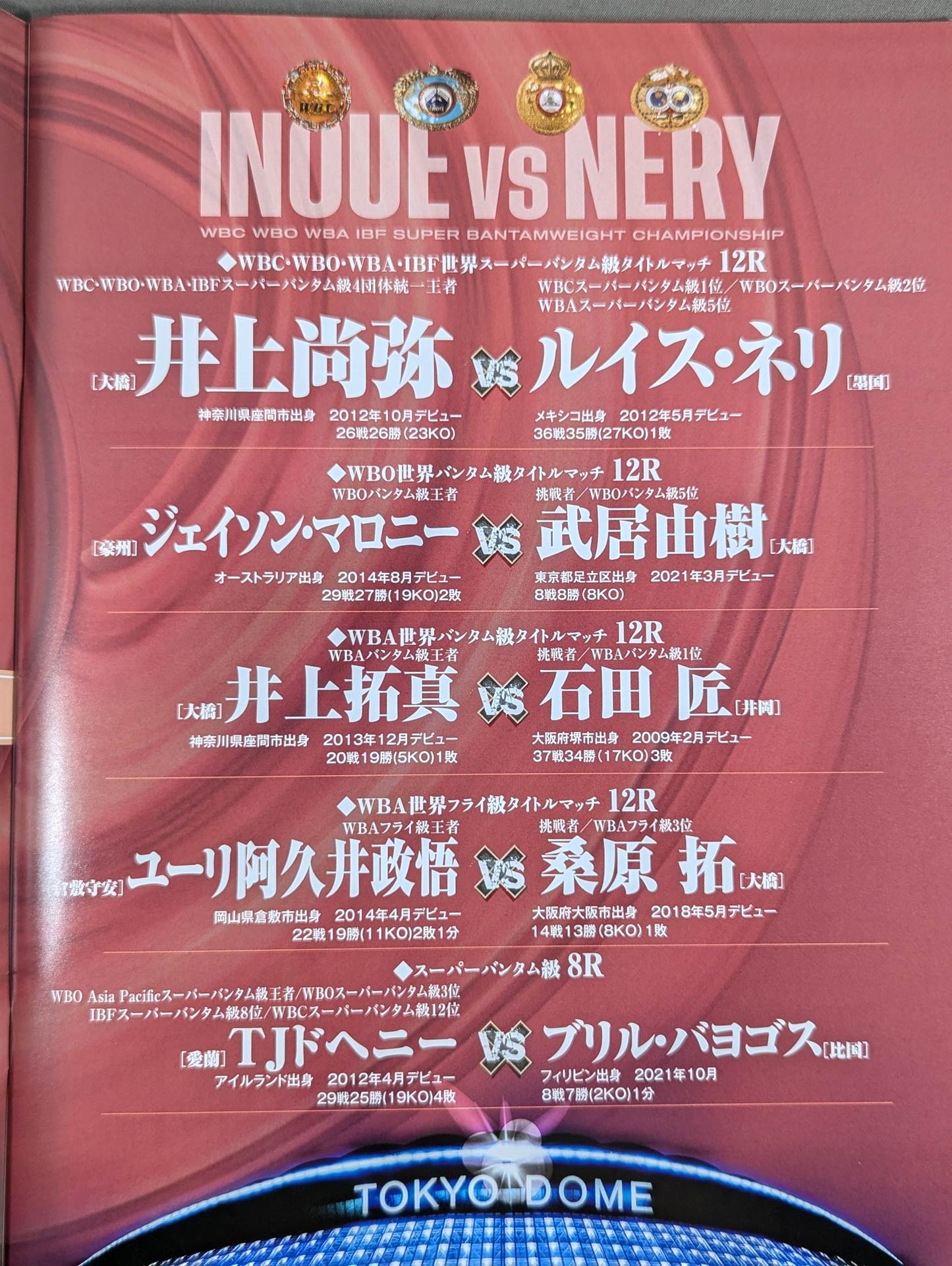 井上尚弥vsルイス・ネリ – 闘道館