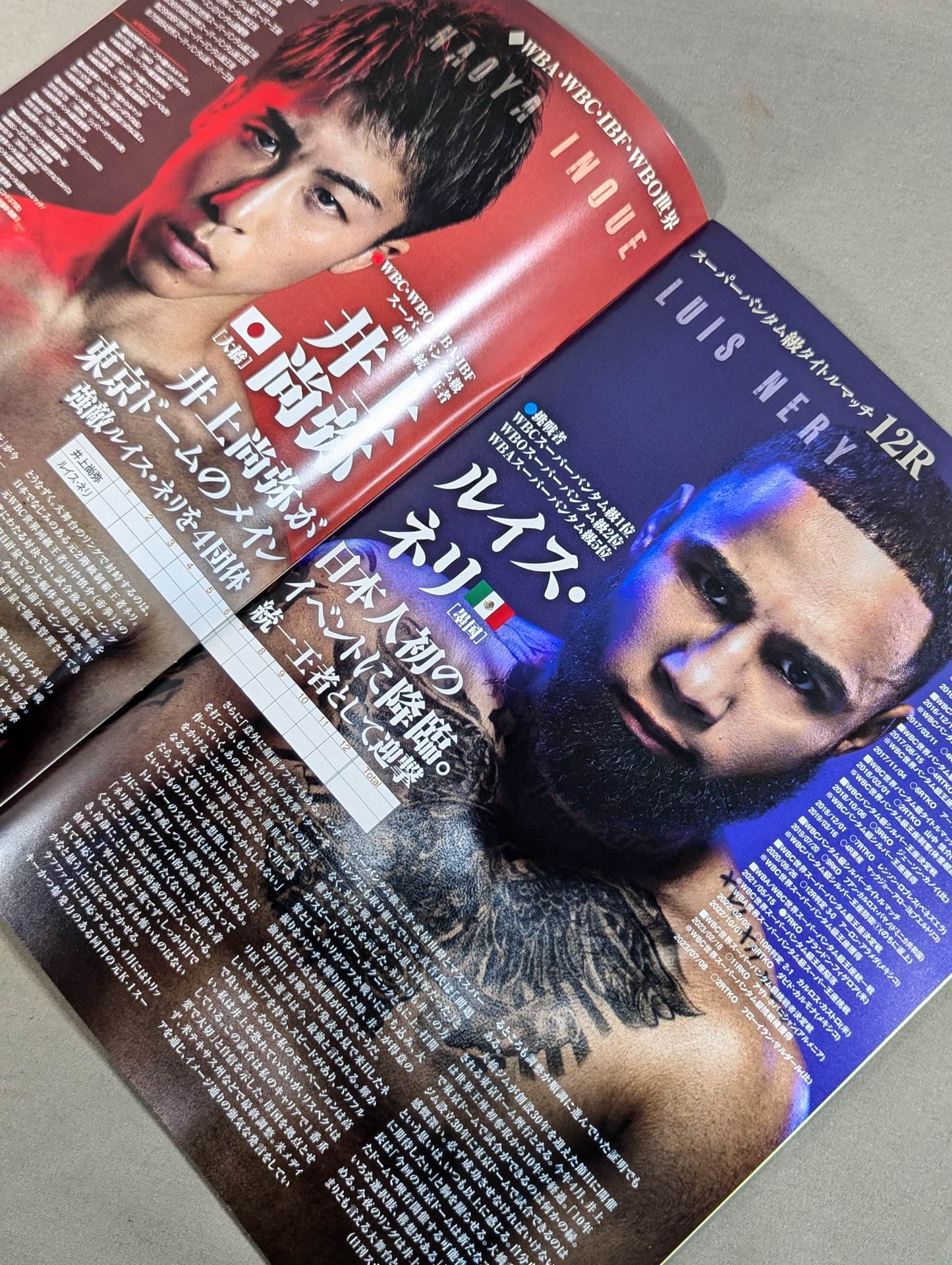 井上尚弥vsルイス・ネリ – 闘道館