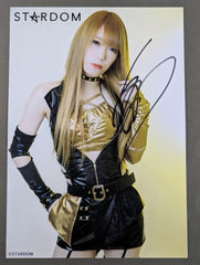 スターダム 鹿島沙希 実使用マスク 直筆サイン STARDOM 女子プロレス スターダム 鹿島沙希 実使用マスク 直筆サイン STARDOM 女子