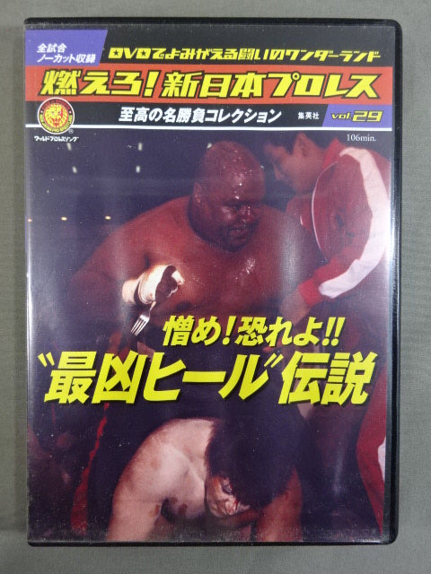 燃えろ!新日本プロレス vol.29