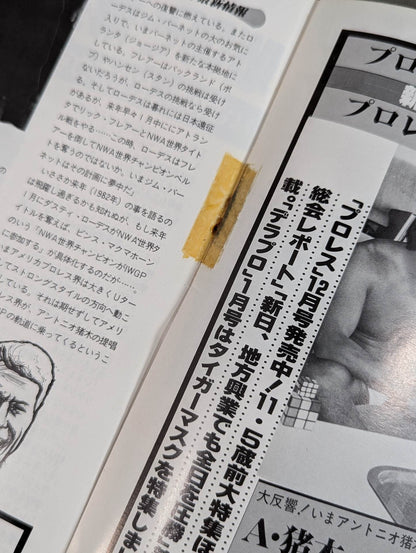 THE WRESTLER 第2回MSGタッグリーグ戦 Vol.5