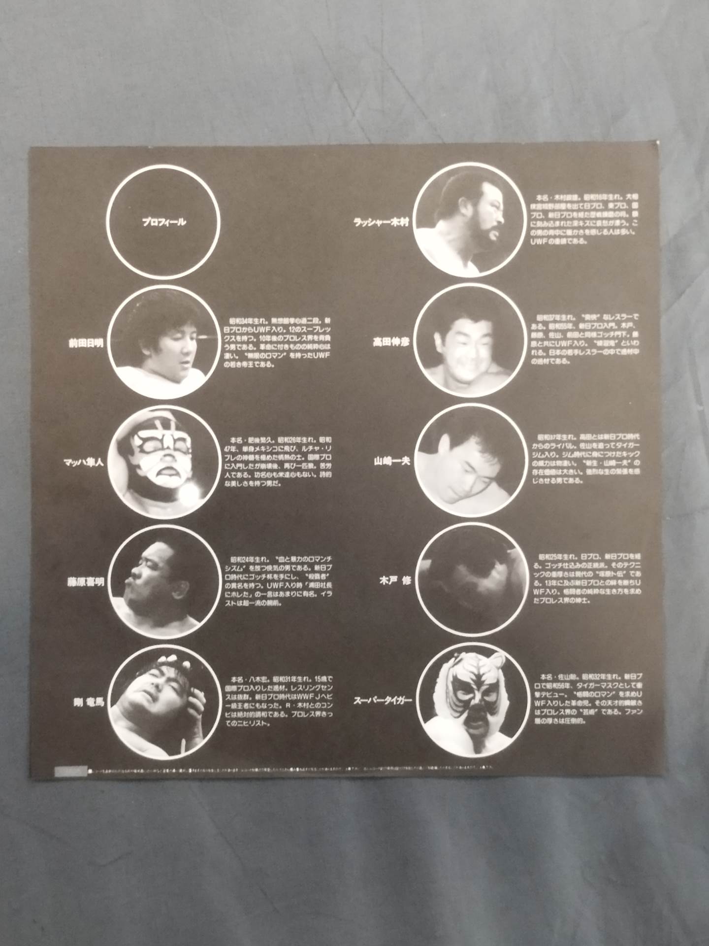 Pro Wrestling Super Fighters Theme