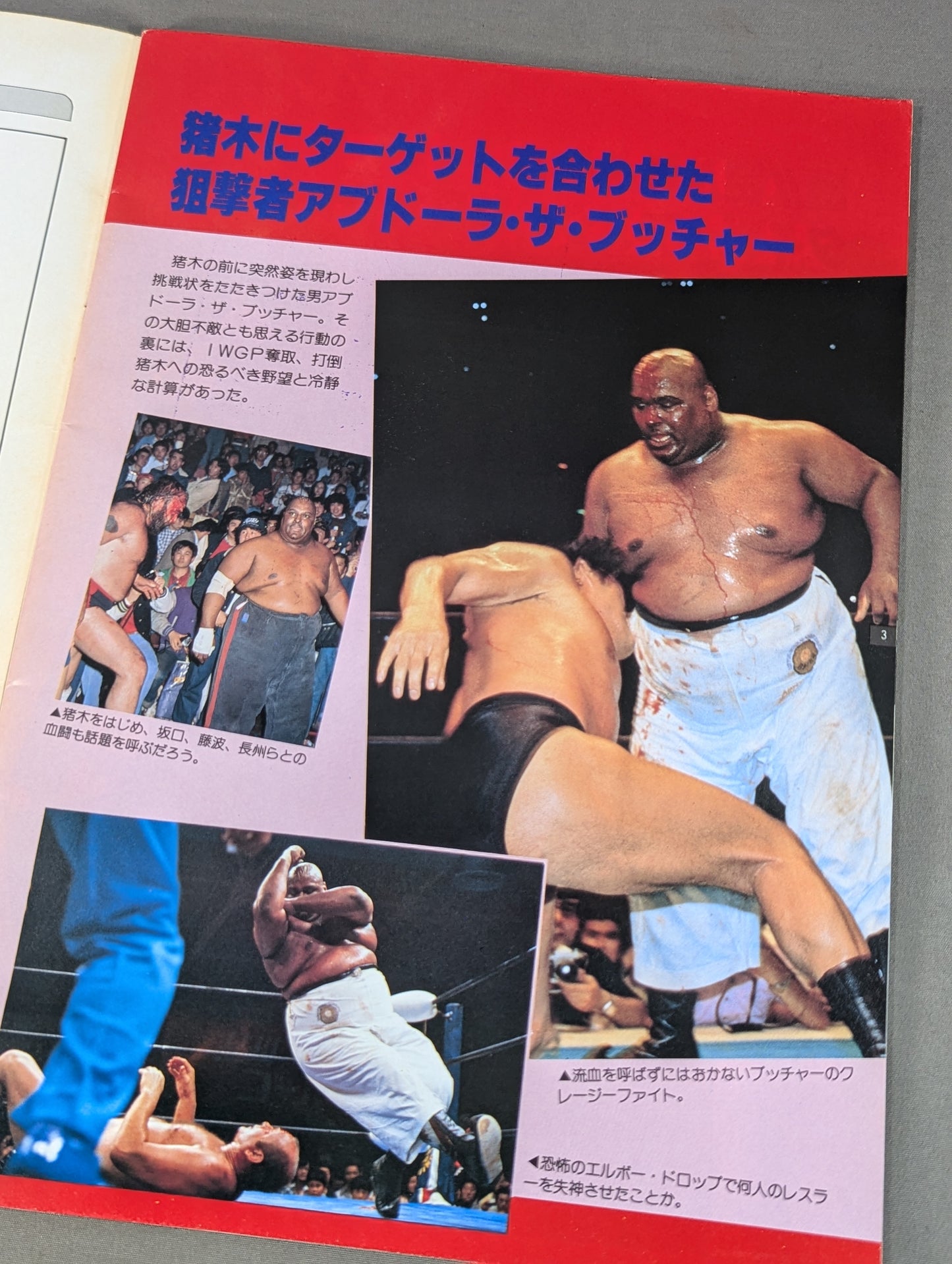 THE WRESTLER Summer Fight Series Vol.2