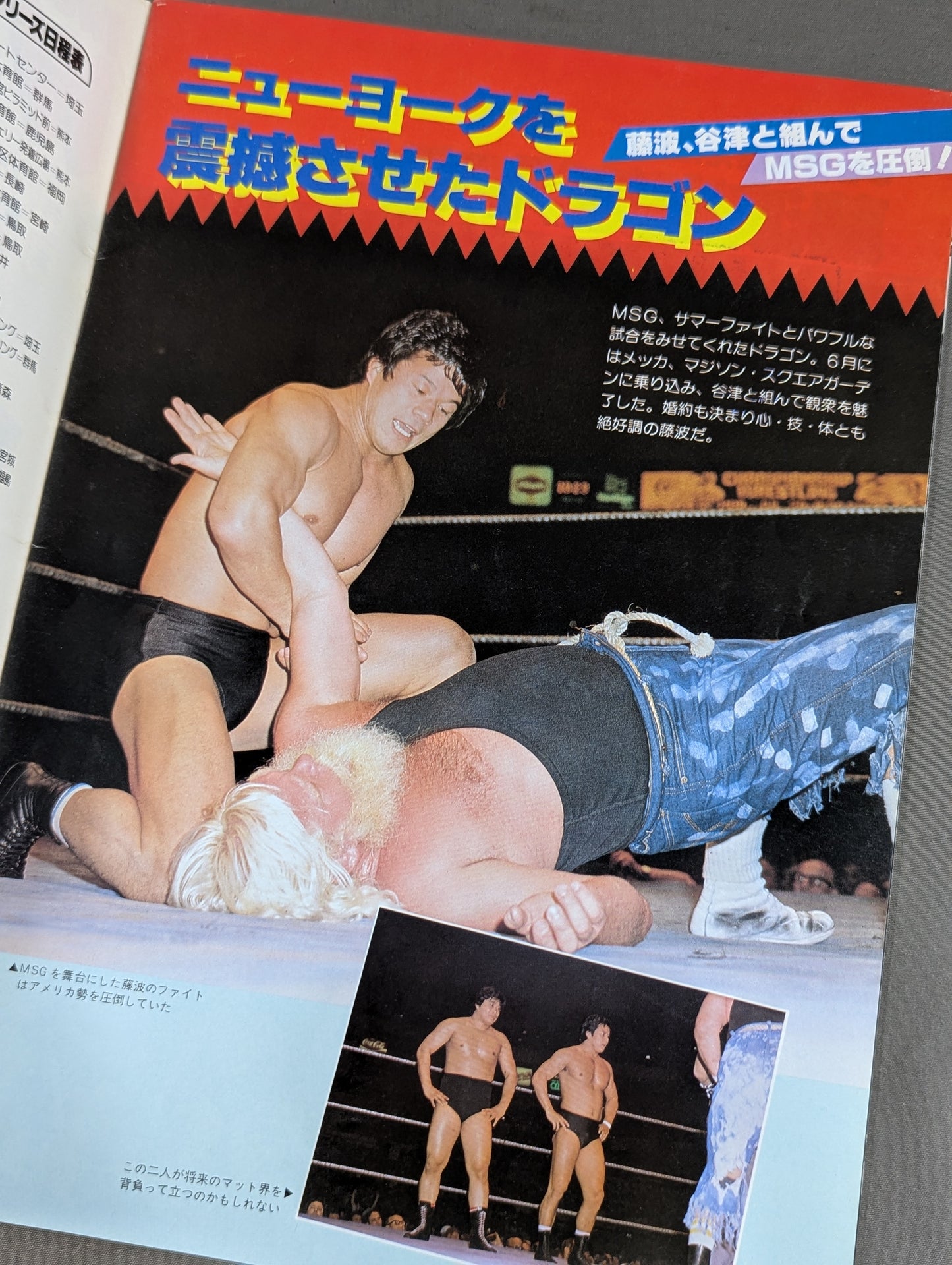 ★アンドレvsハンセン★ THE WRESTLER ブラディファイト・シリーズ Vol.3
