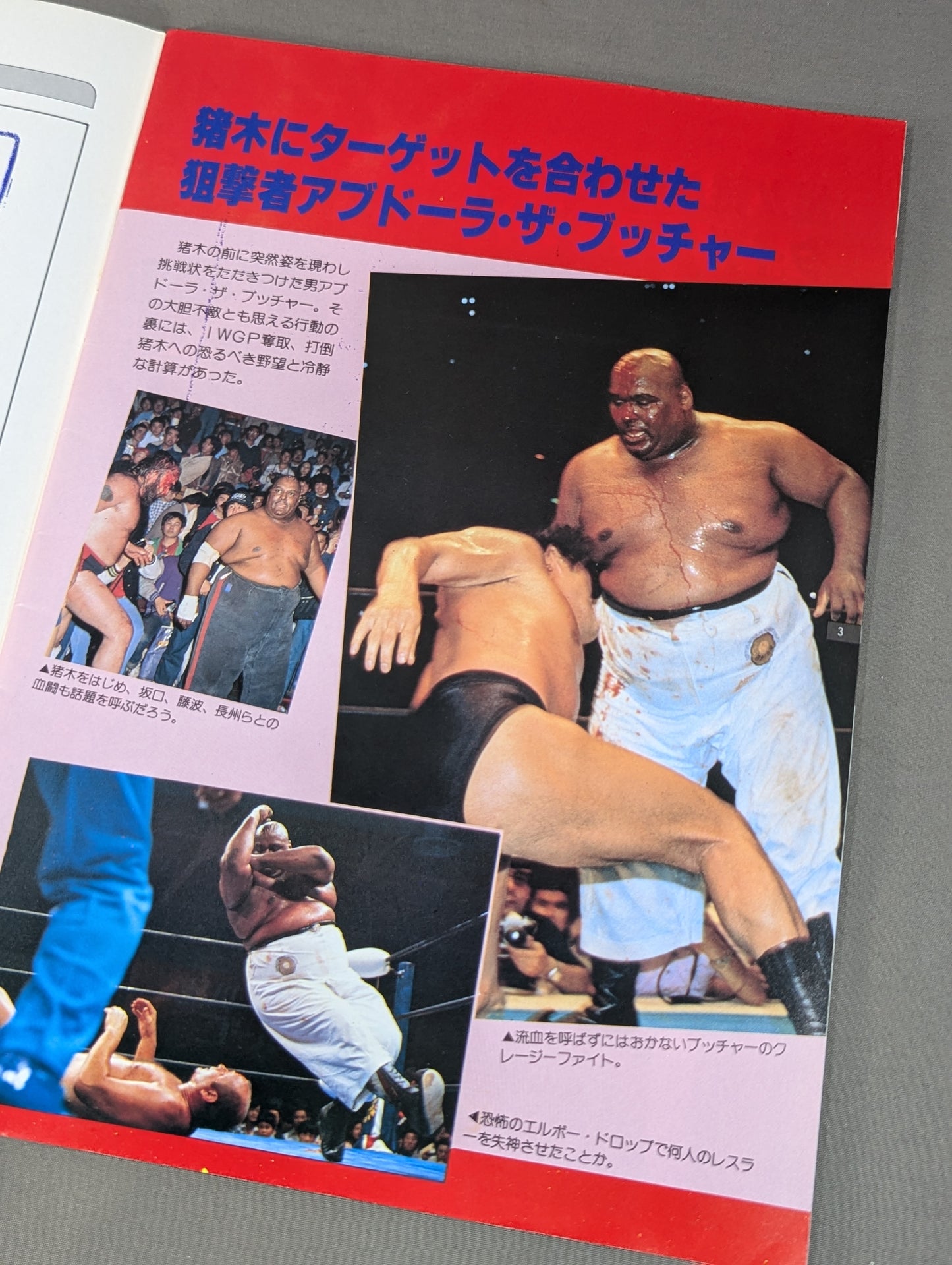 ★ $30,000 in prize money & masked match ★THE WRESTLER Summer Fight Series Vol.2 [Final Match]