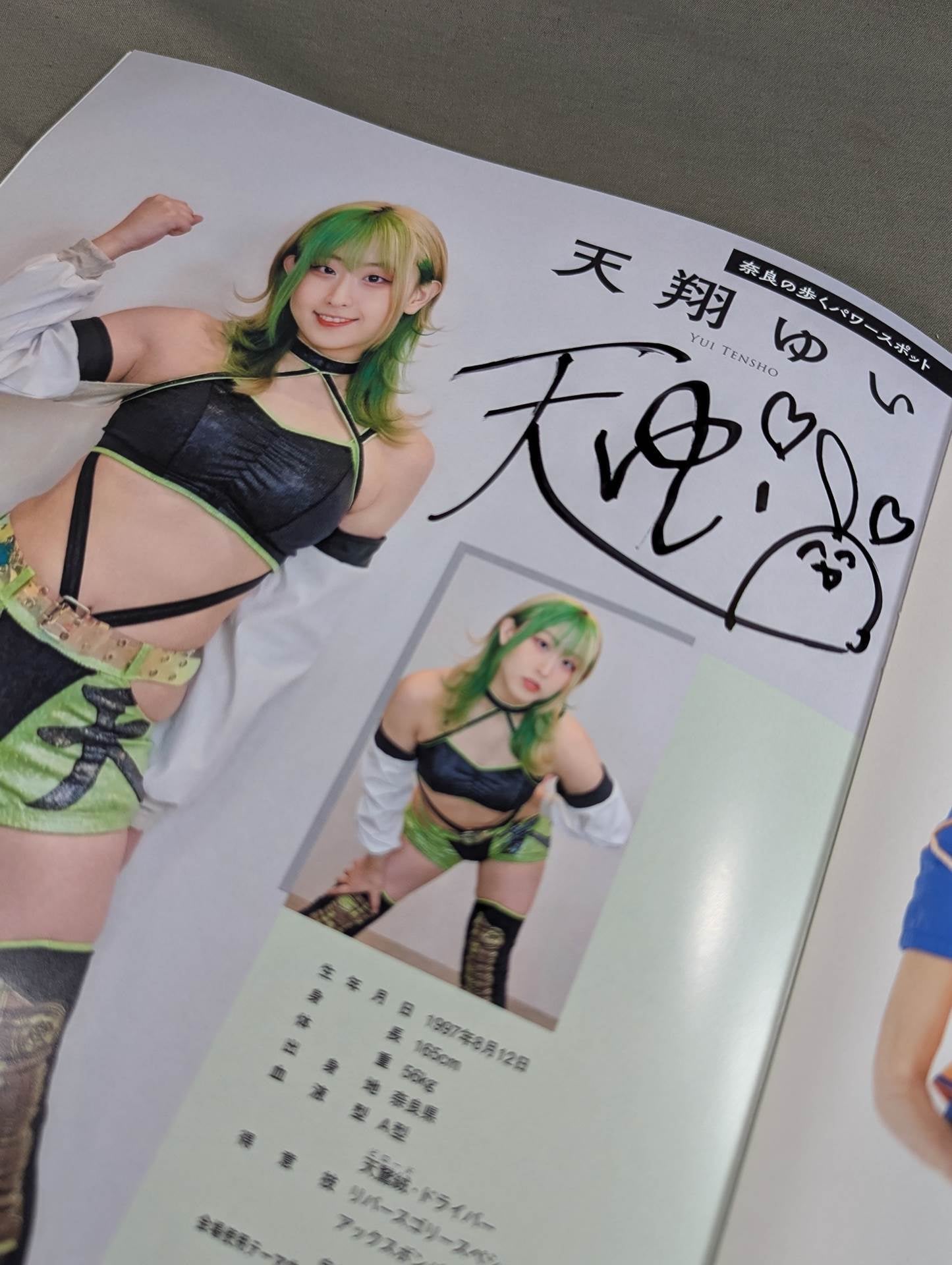 鬼レア❗️アクトレスガールズ 集合 直筆サイン ポートレート 女子プロレス 5選手直筆サイン入り】アクトレスガールズ名鑑2025 – 闘道館