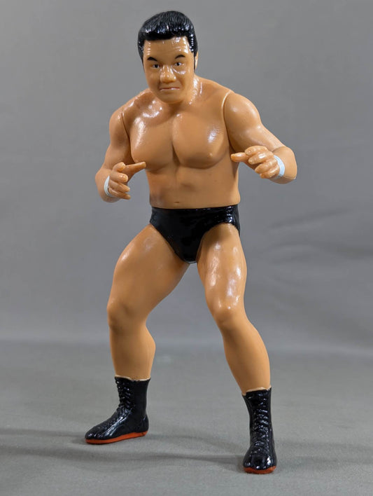Tatsumi Fujinami 