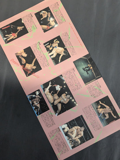 新日本プロレス最新テーマ曲集 プロレス・ファイティング・ミュージック
