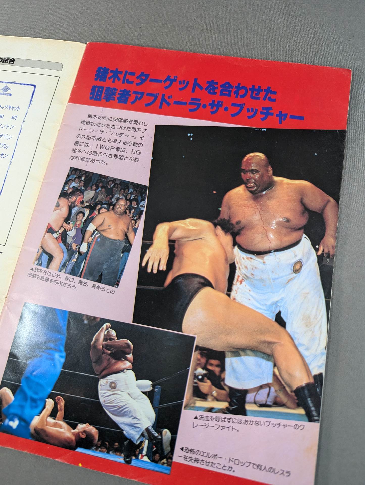 ★賞金3万ドル&覆面剥ぎマッチ★THE WRESTLER サマー・ファイト・シリーズ Vol.2【最終戦】