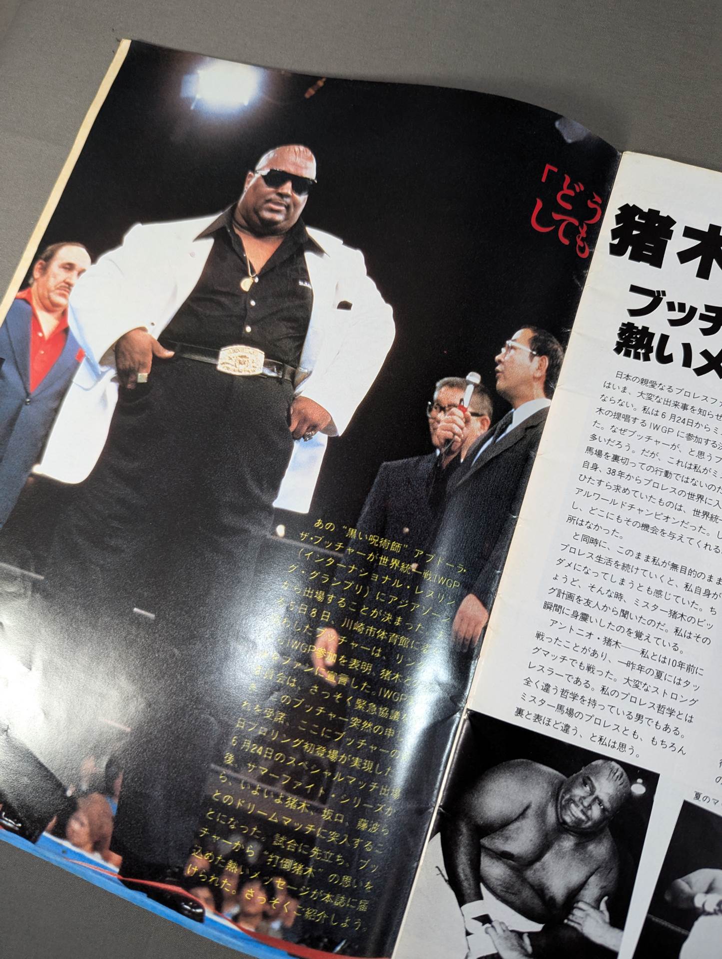 ★賞金3万ドル&覆面剥ぎマッチ★THE WRESTLER サマー・ファイト・シリーズ Vol.2【最終戦】