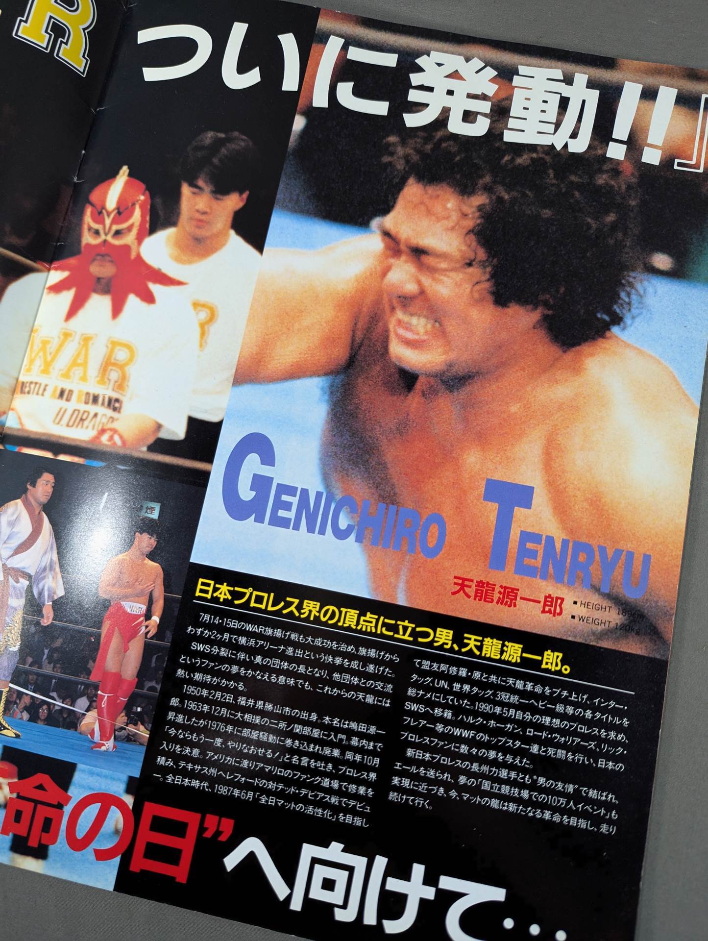 ☆フレアーvs天龍 WWF戦☆ 革命点火 in 横浜アリーナ – 闘道館