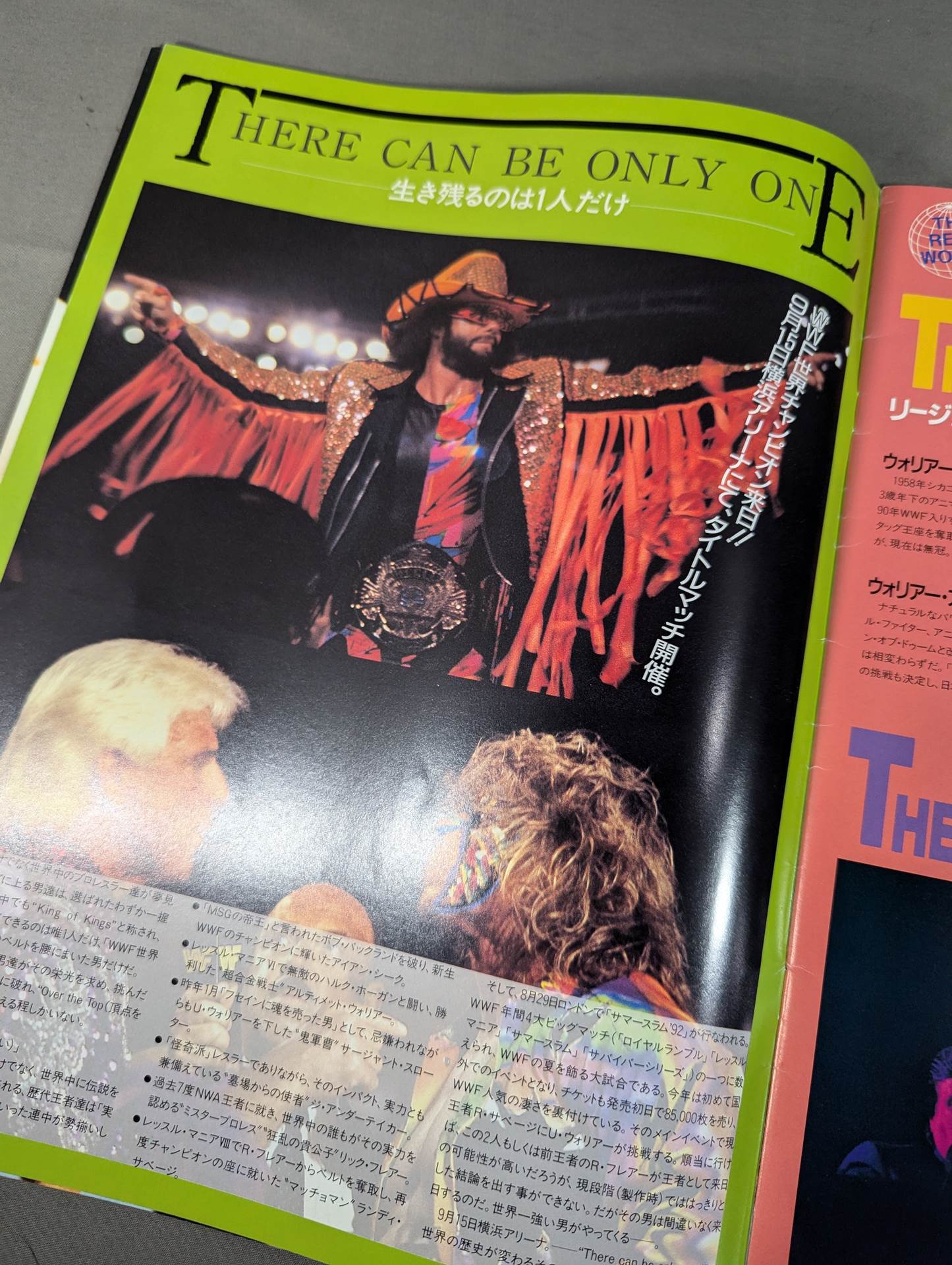 ☆フレアーvs天龍 WWF戦☆ 革命点火 in 横浜アリーナ – 闘道館