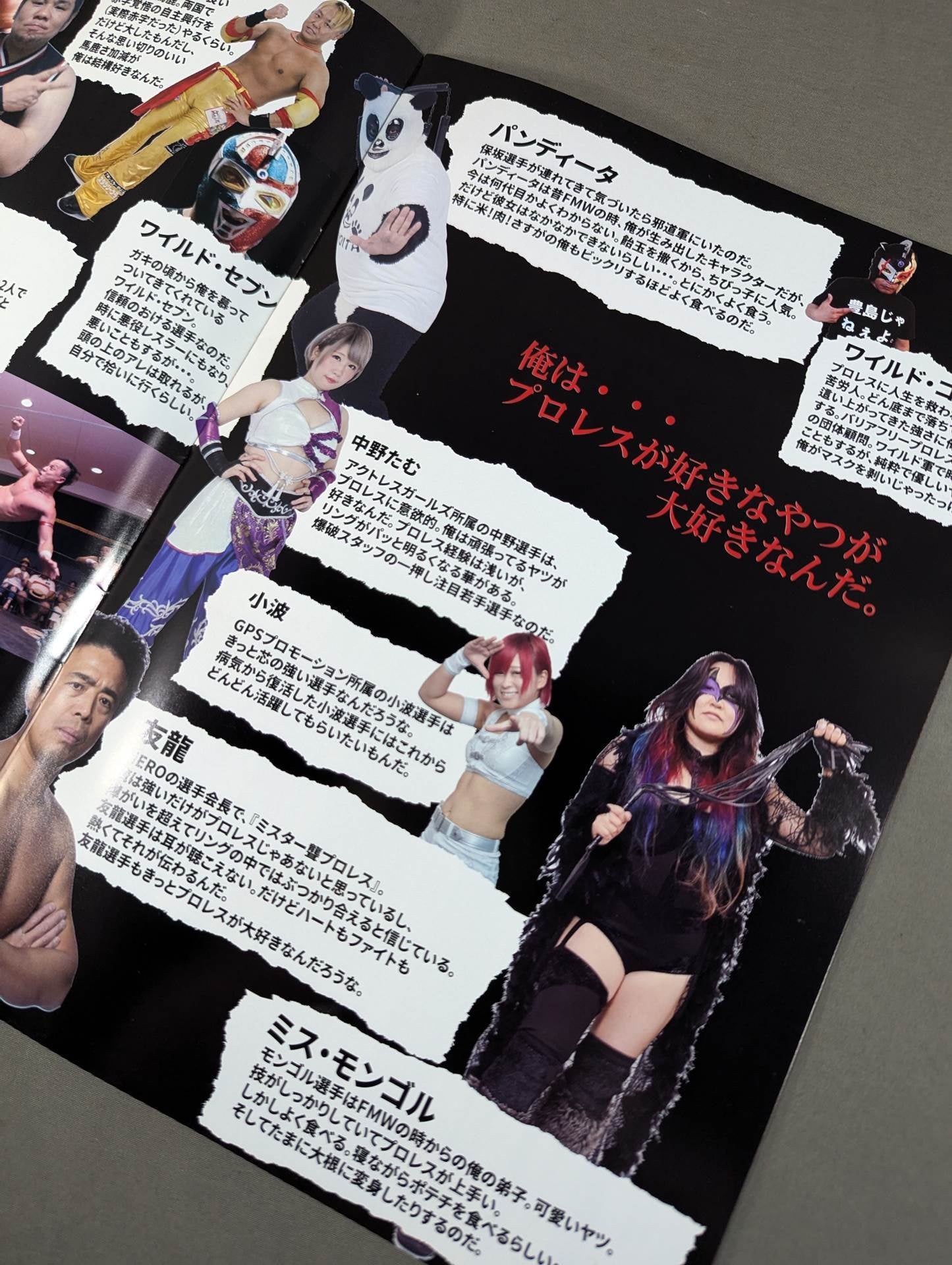 大仁田厚 オフィシャルパンフレット2017