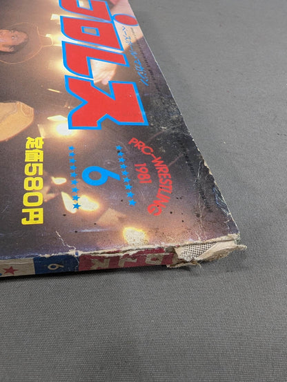 Monthly Pro Wrestling June 1981 issue