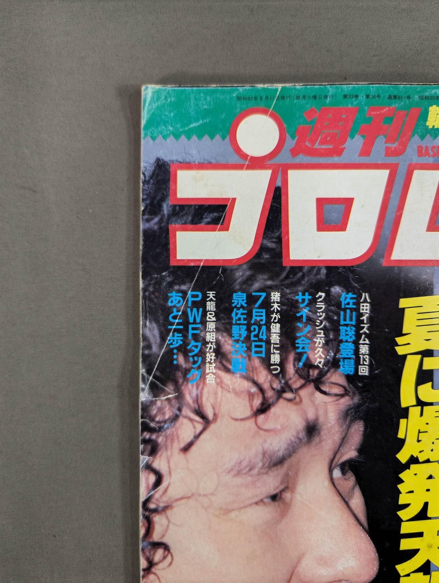 週刊プロレス216