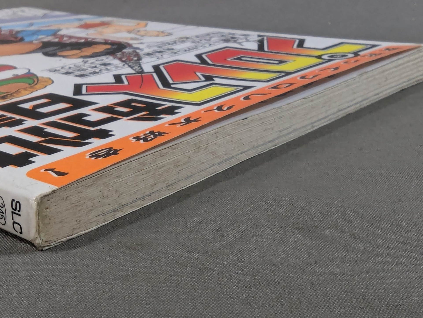 プロレスおっかけ日誌  女だってプロレス大好きーーっ！