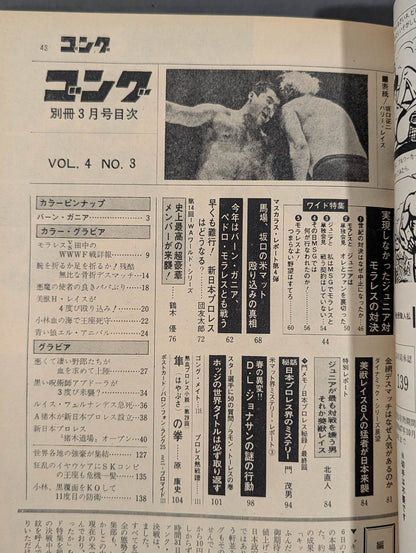 別冊ゴングVol.4 No.3