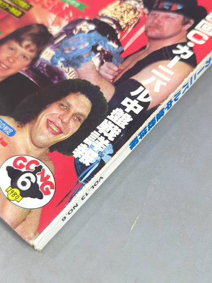 Monthly Gong Vol.13 No.6
