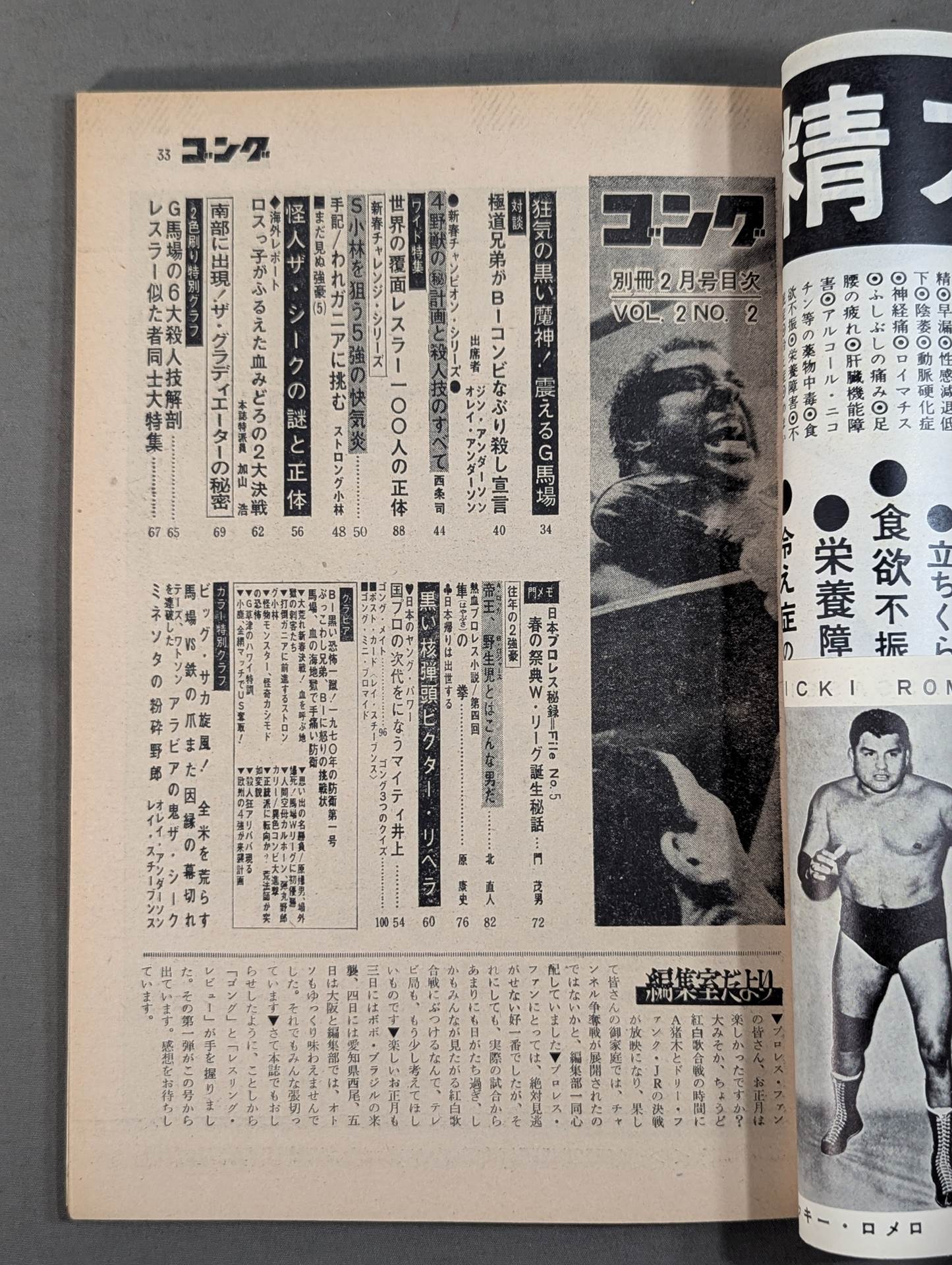 別冊ゴングVol.2 No.1 – 闘道館