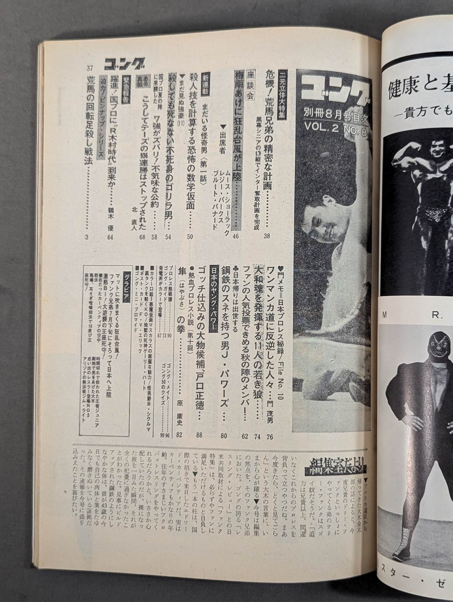 王監督が怒った 屈辱四年、この叫びを聞け! 文藝春秋NESCO 1987年 初版 別冊ゴングVol.2 No.8 – 闘道館
