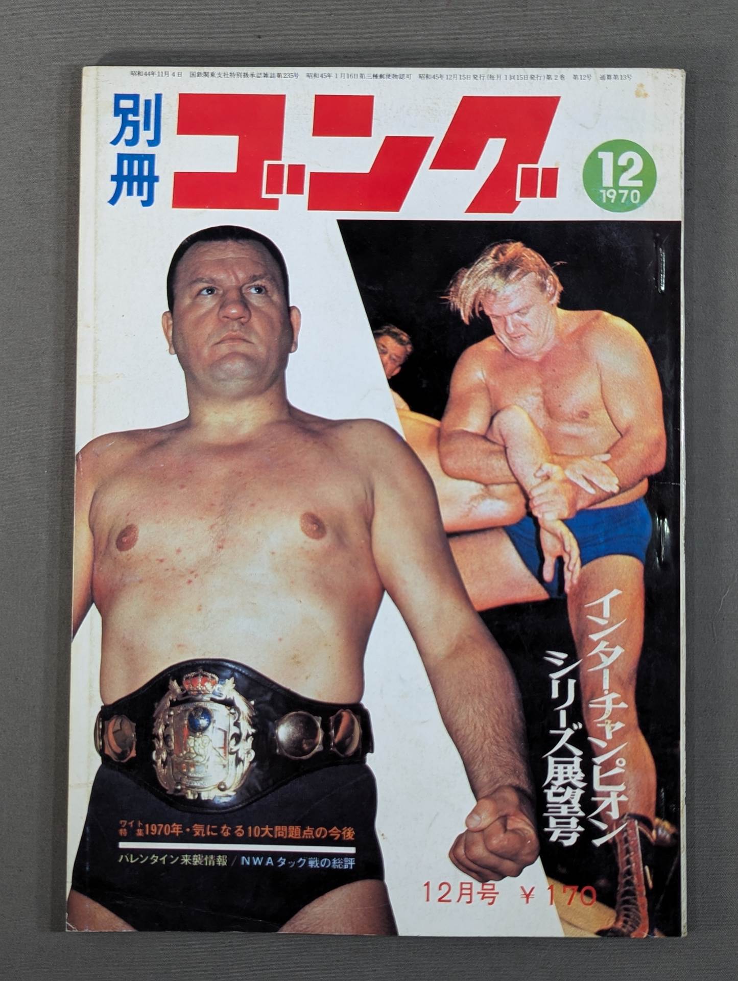 別冊ゴングVol.2 No.12