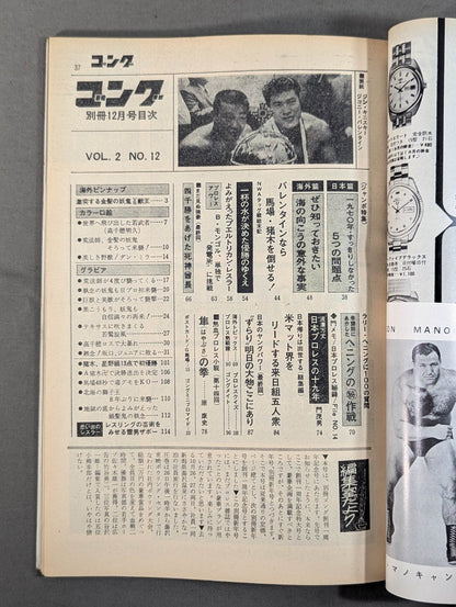 別冊ゴングVol.2 No.12