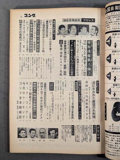 月刊ゴングVol.2 No.2