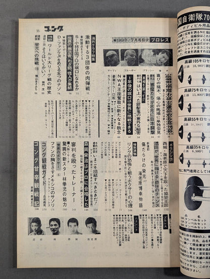 月刊ゴングVol.2 No.8