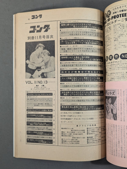 別冊ゴングVol.11 No.12
