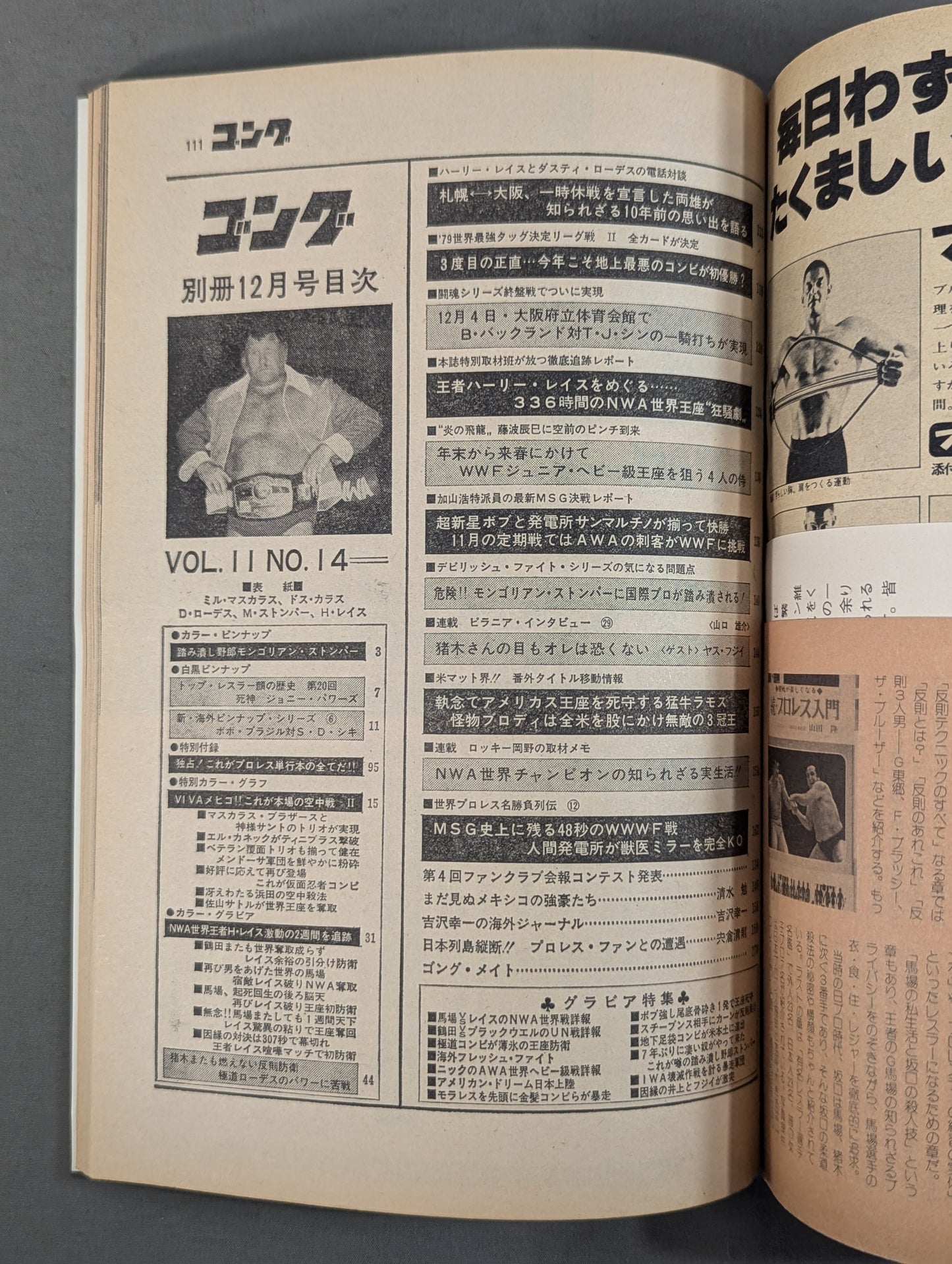 Bessatsu Gong Vol.11 No.13