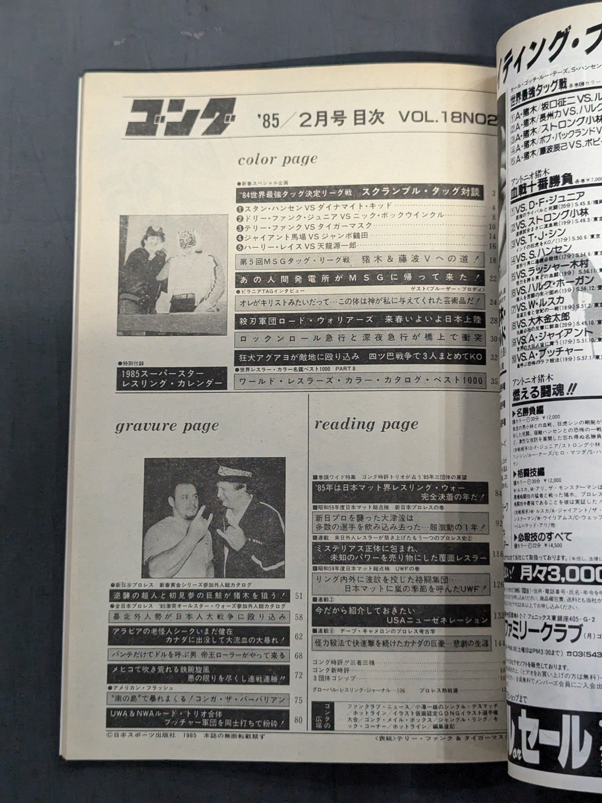 プロレス　ゴング新春2月号　別冊付録 プロレス ゴング新春2月号 別冊付録