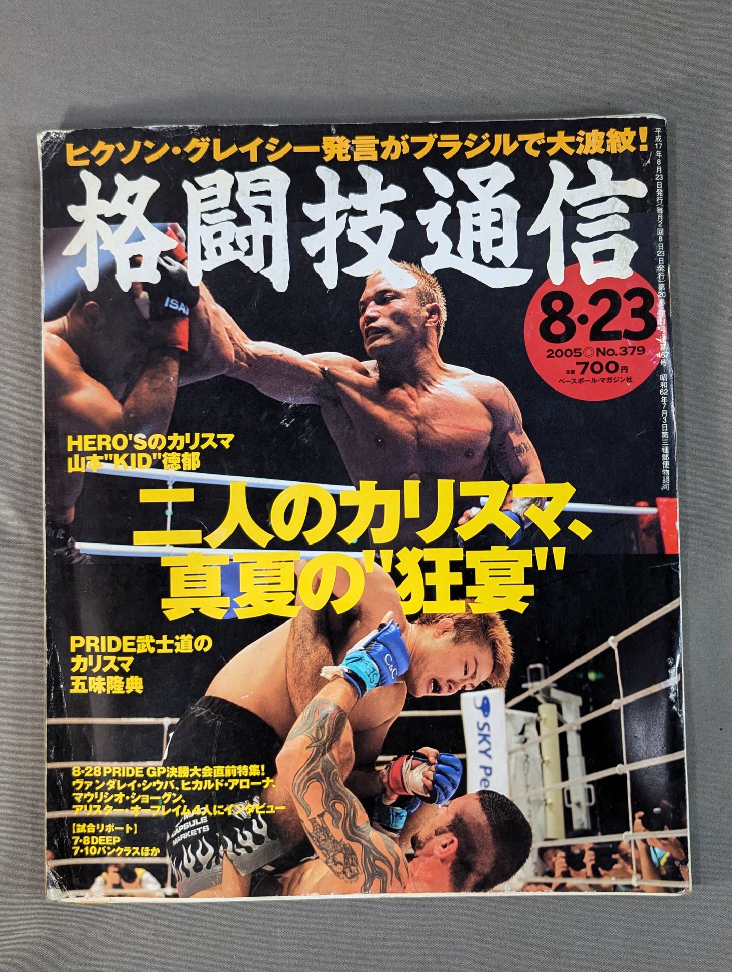 Martial Arts Communication 379