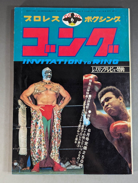 月刊ゴングVol.5 No.6