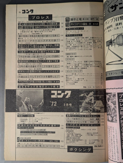 月刊ゴングVol.5 No.2