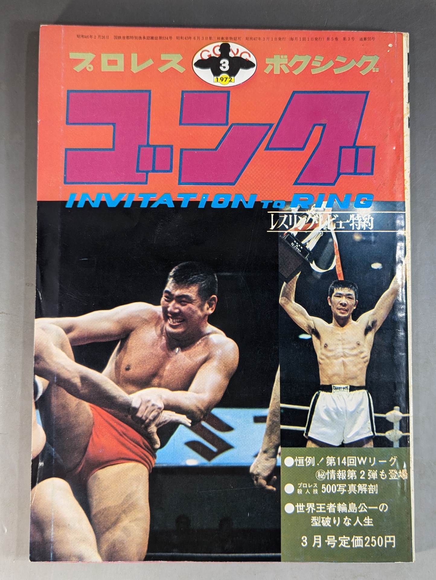 月刊ゴングVol.5 No.3 – 闘道館