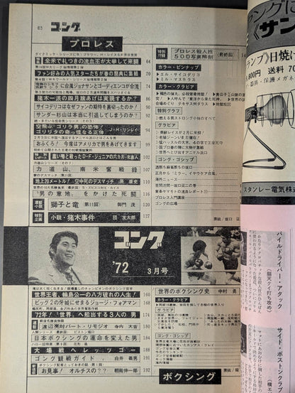 月刊ゴングVol.5 No.3