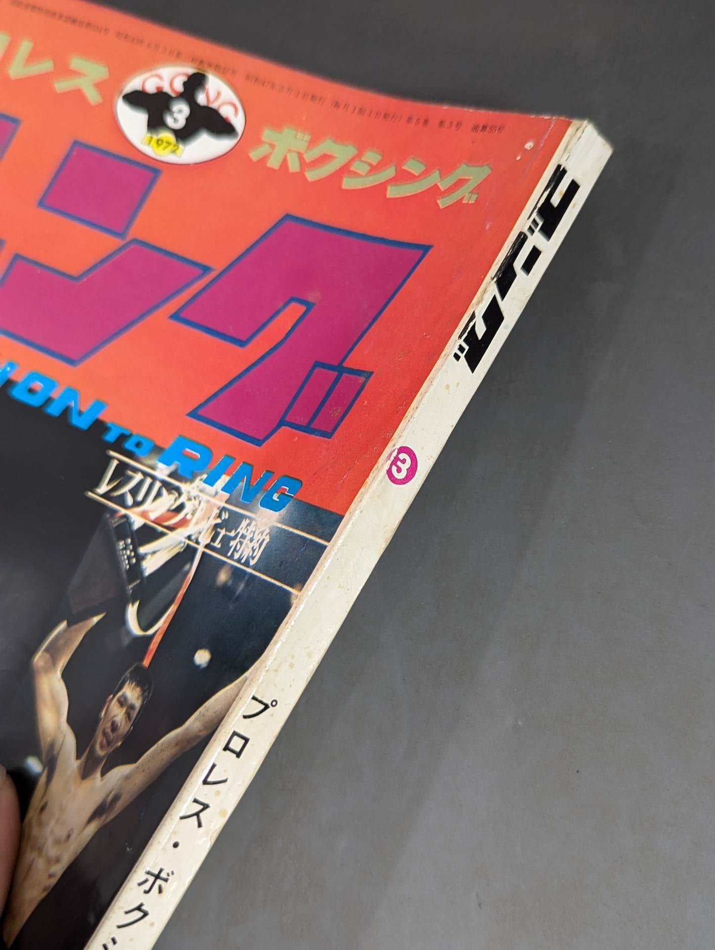 月刊ゴングVol.5 No.3