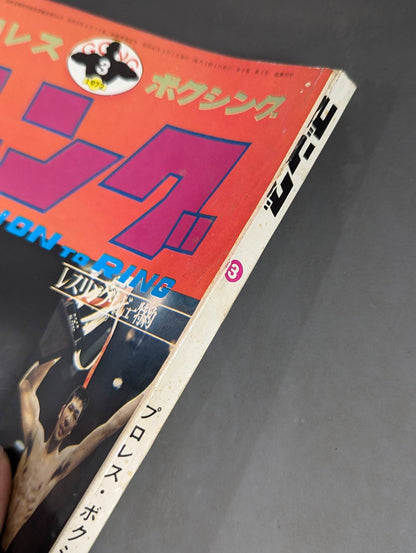 月刊ゴングVol.5 No.3