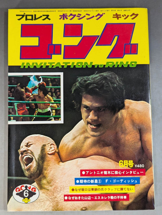 月刊ゴングVol.9 No.8