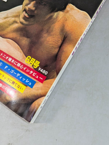 月刊ゴングVol.9 No.8