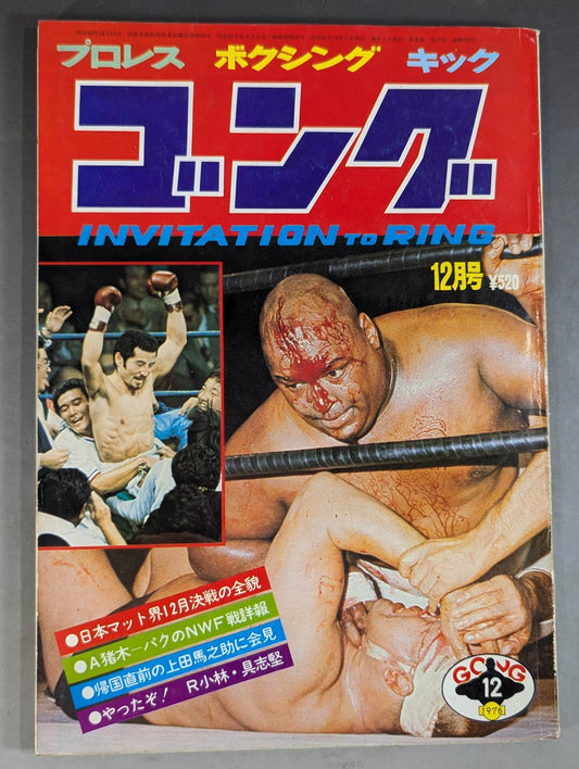 月刊ゴングVol.9 No.17