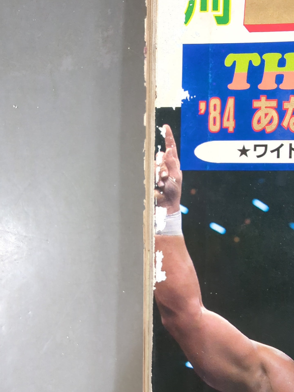 別冊ゴングVol.16 No.1