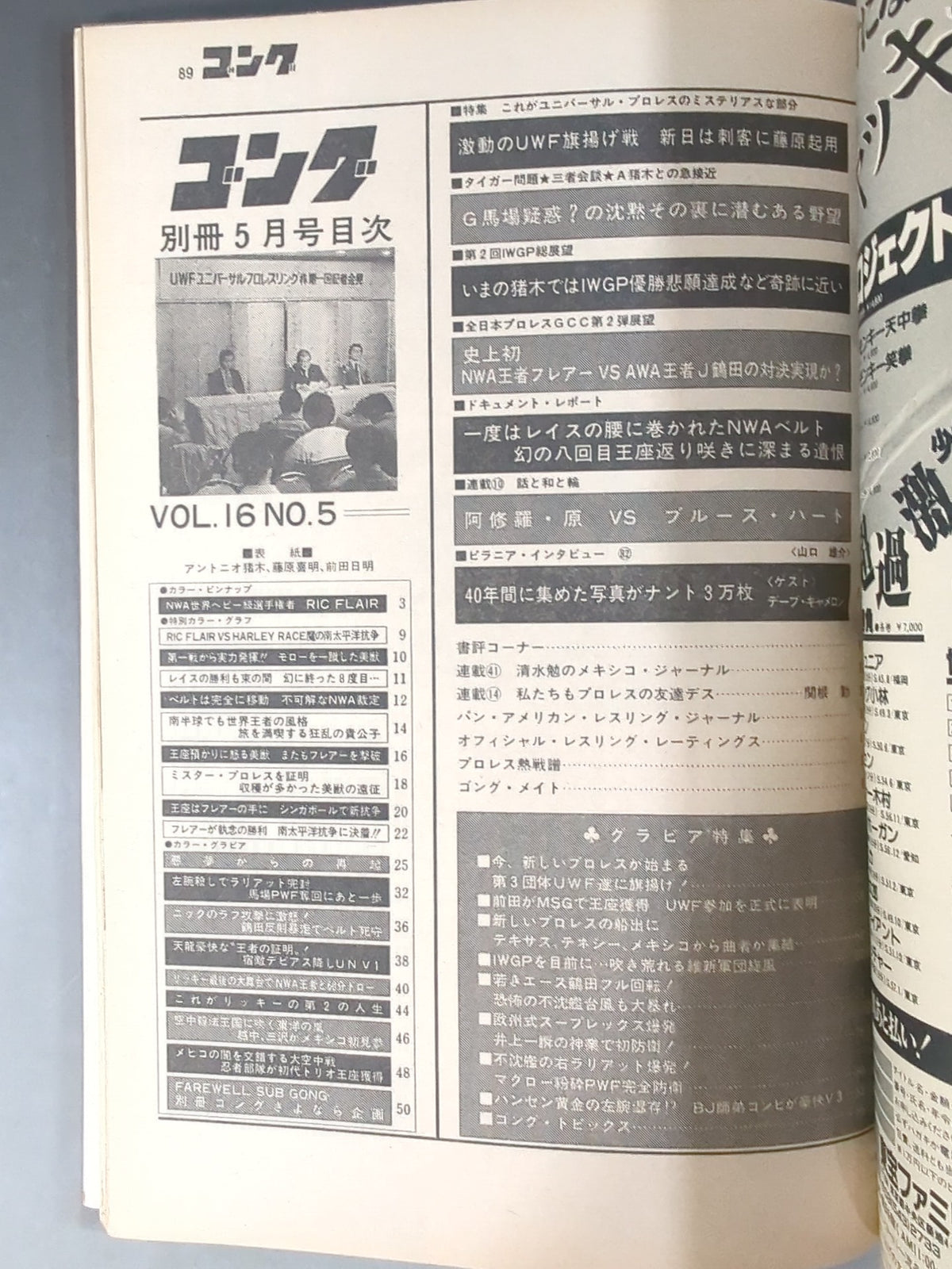 別冊ゴングVol.16 No.5