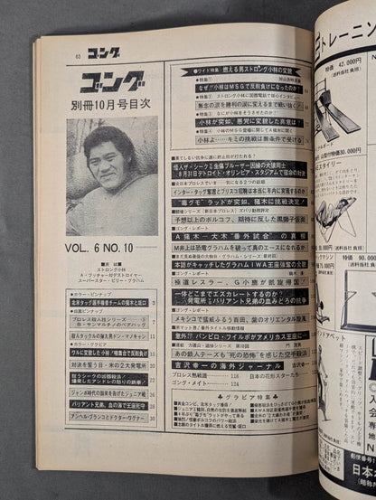 別冊ゴングVol.6 No.10