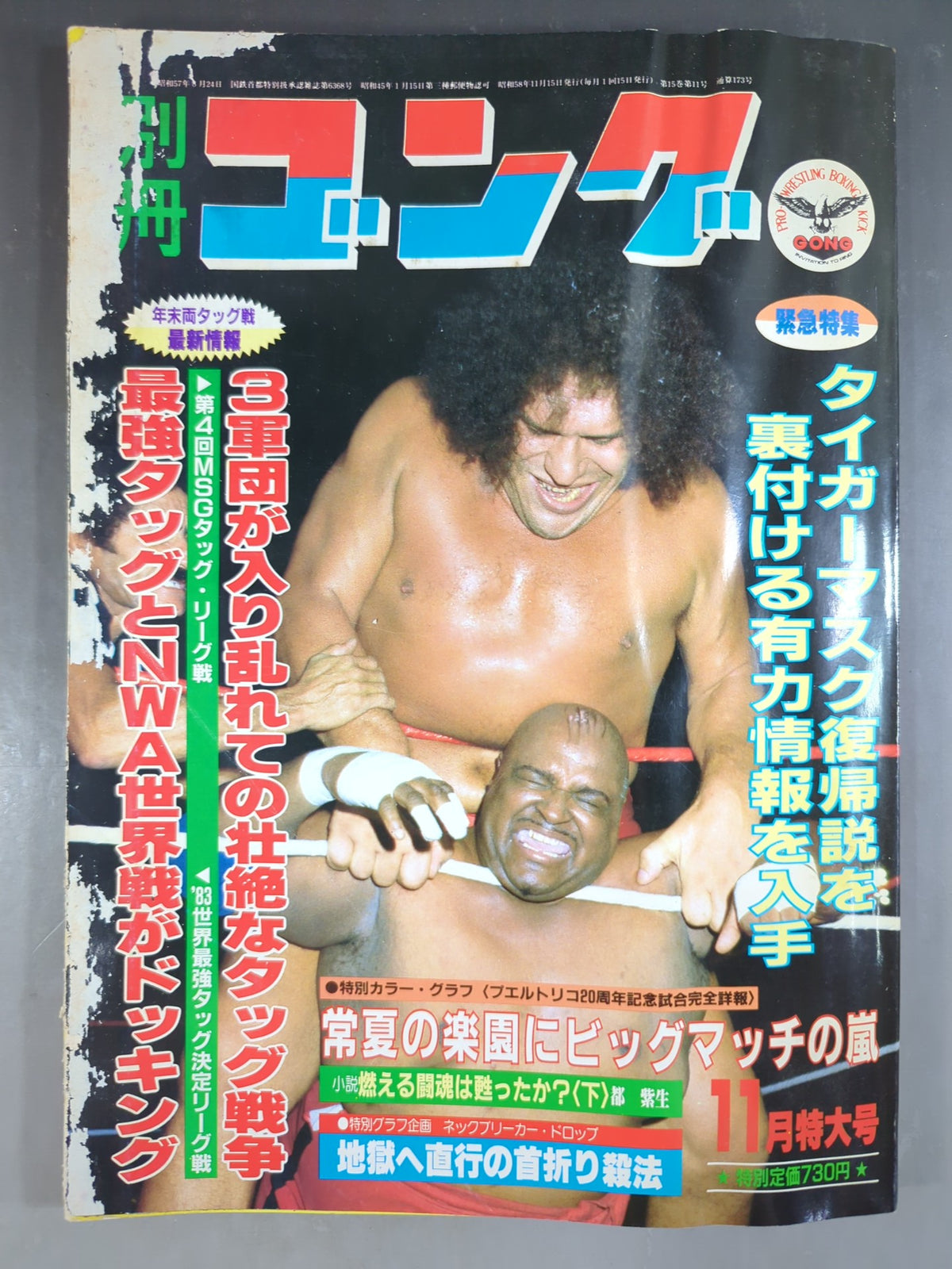 Separate Gong Vol.15 No.11