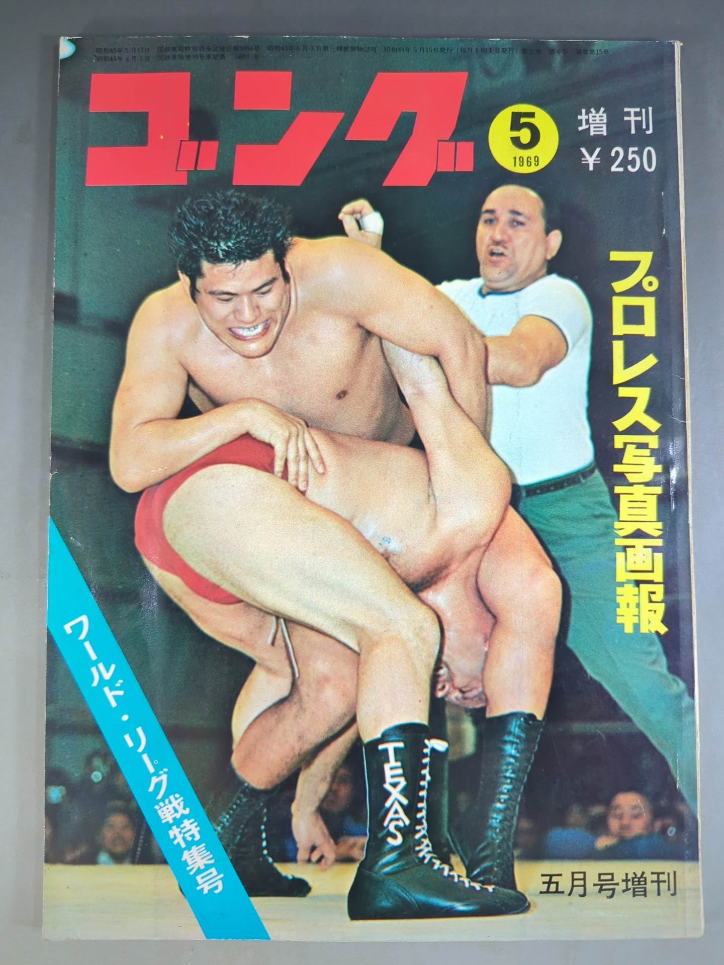 月刊ゴングVol.2 No.6増刊