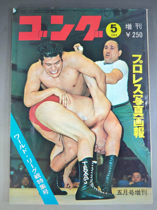 月刊ゴングVol.2 No.6増刊
