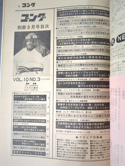別冊ゴングVol.10 No.3