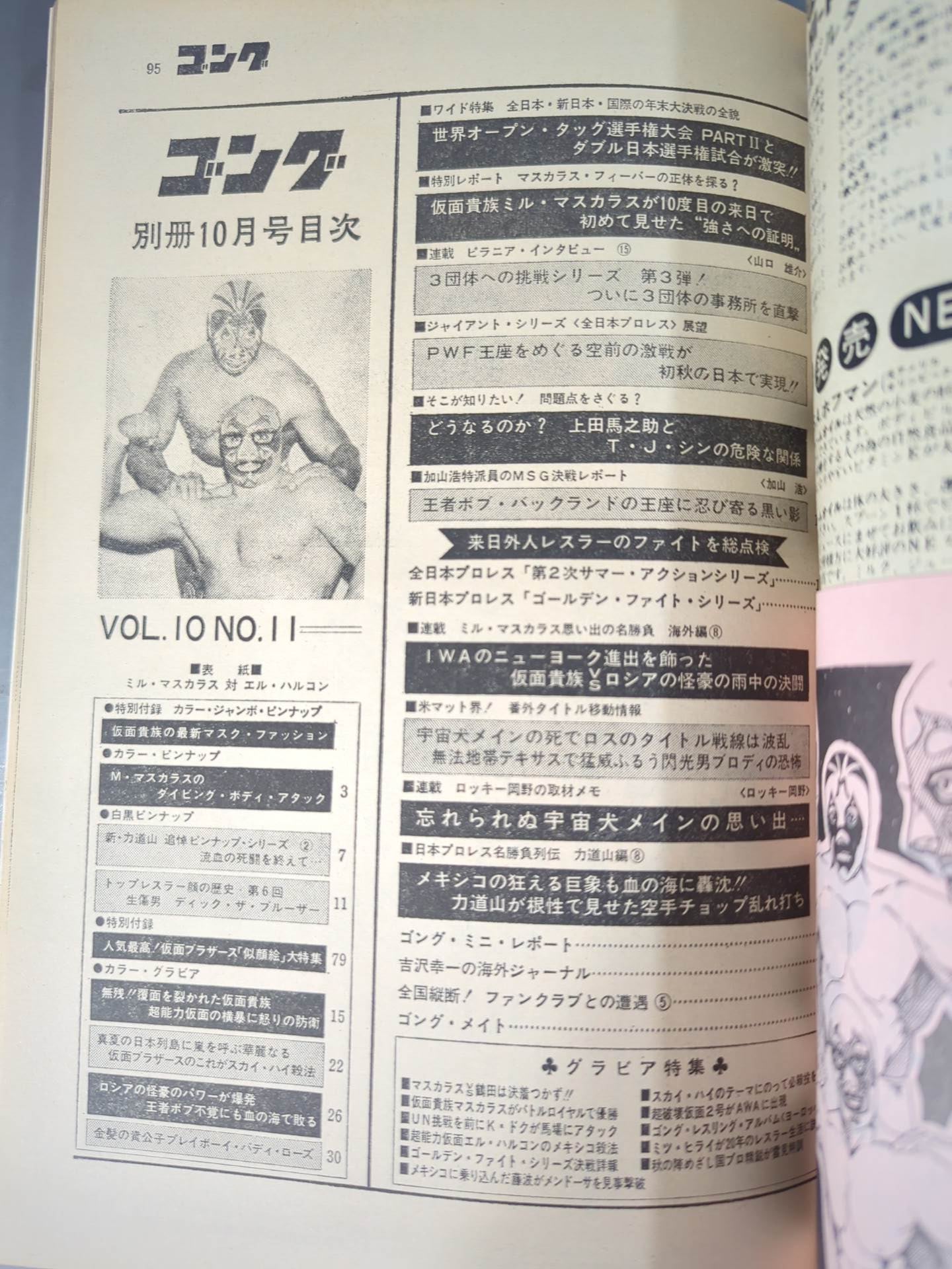 別冊ゴングVol.10 No.11