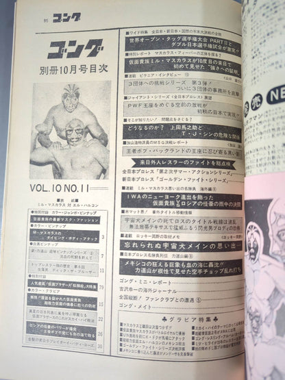 別冊ゴングVol.10 No.11